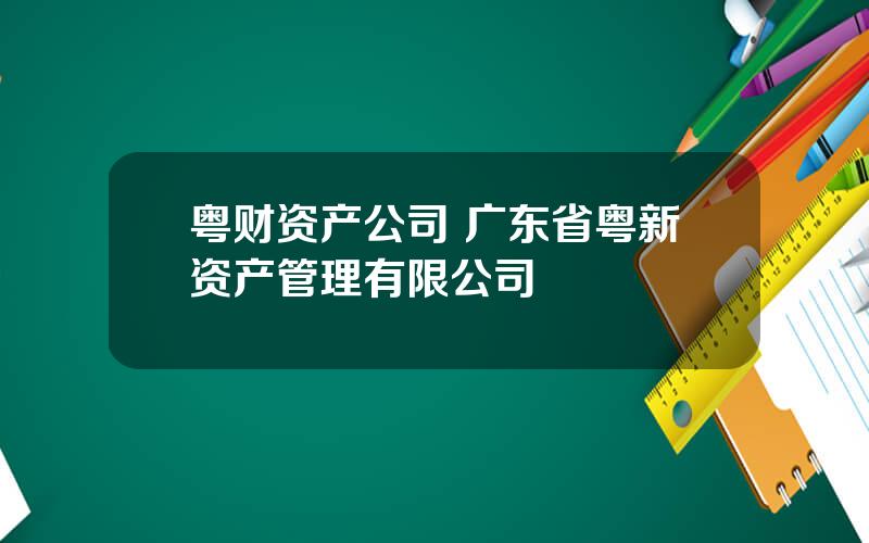 粤财资产公司 广东省粤新资产管理有限公司